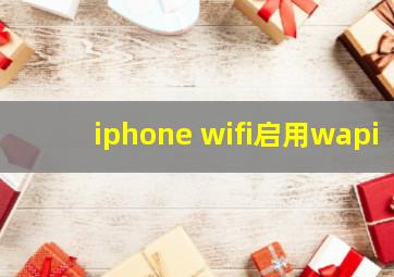 iphone wifi启用wapi